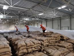 Fumigation Video