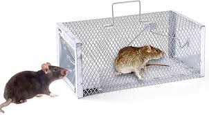 Rodent Control Video